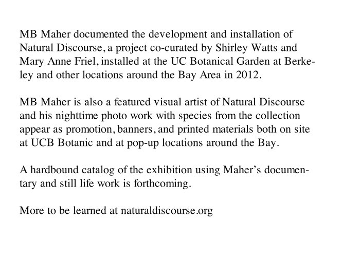 http://imap.mbmaher.com/files/gimgs/th-4_natural.jpg